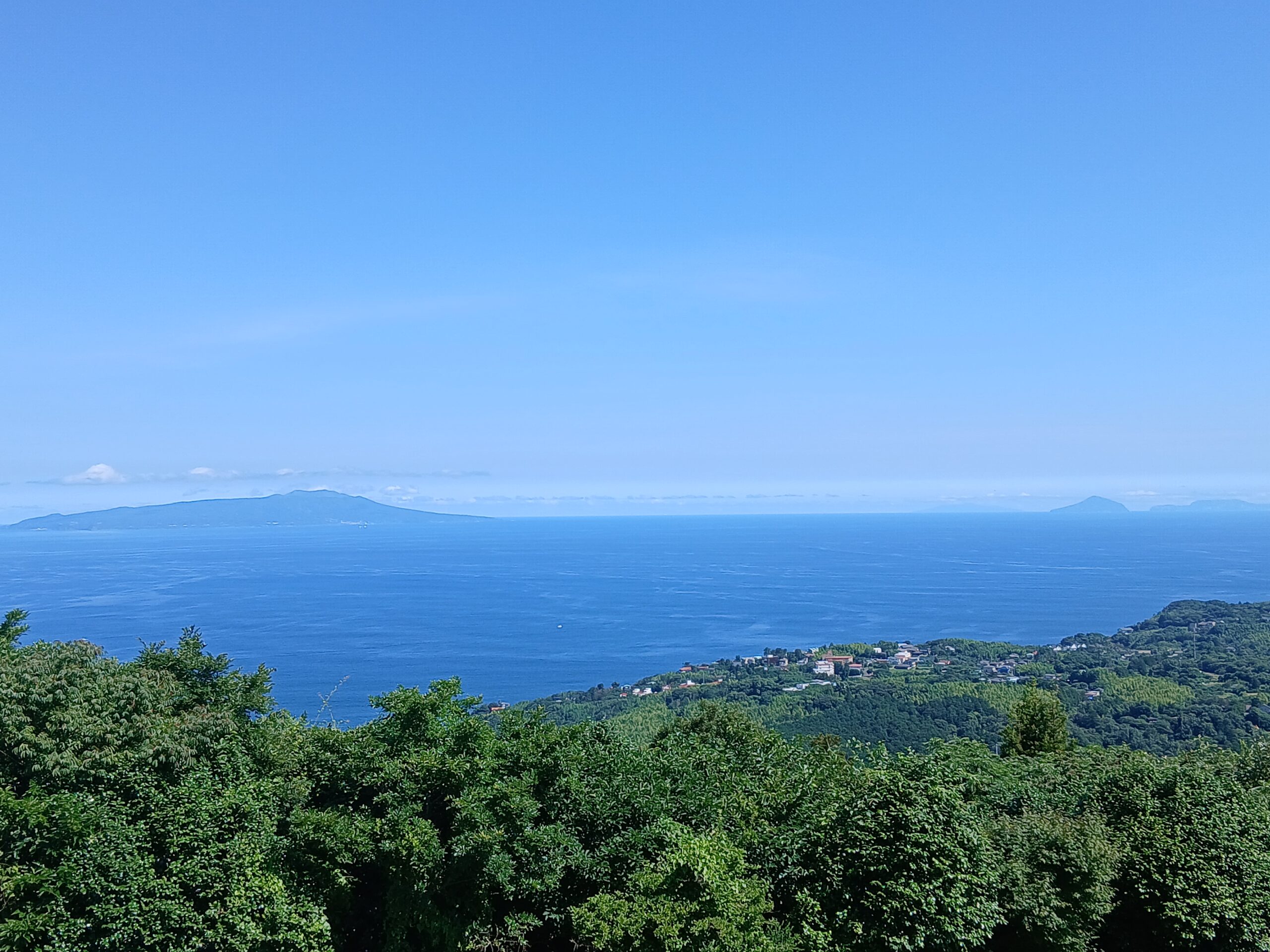 山頂からの景色