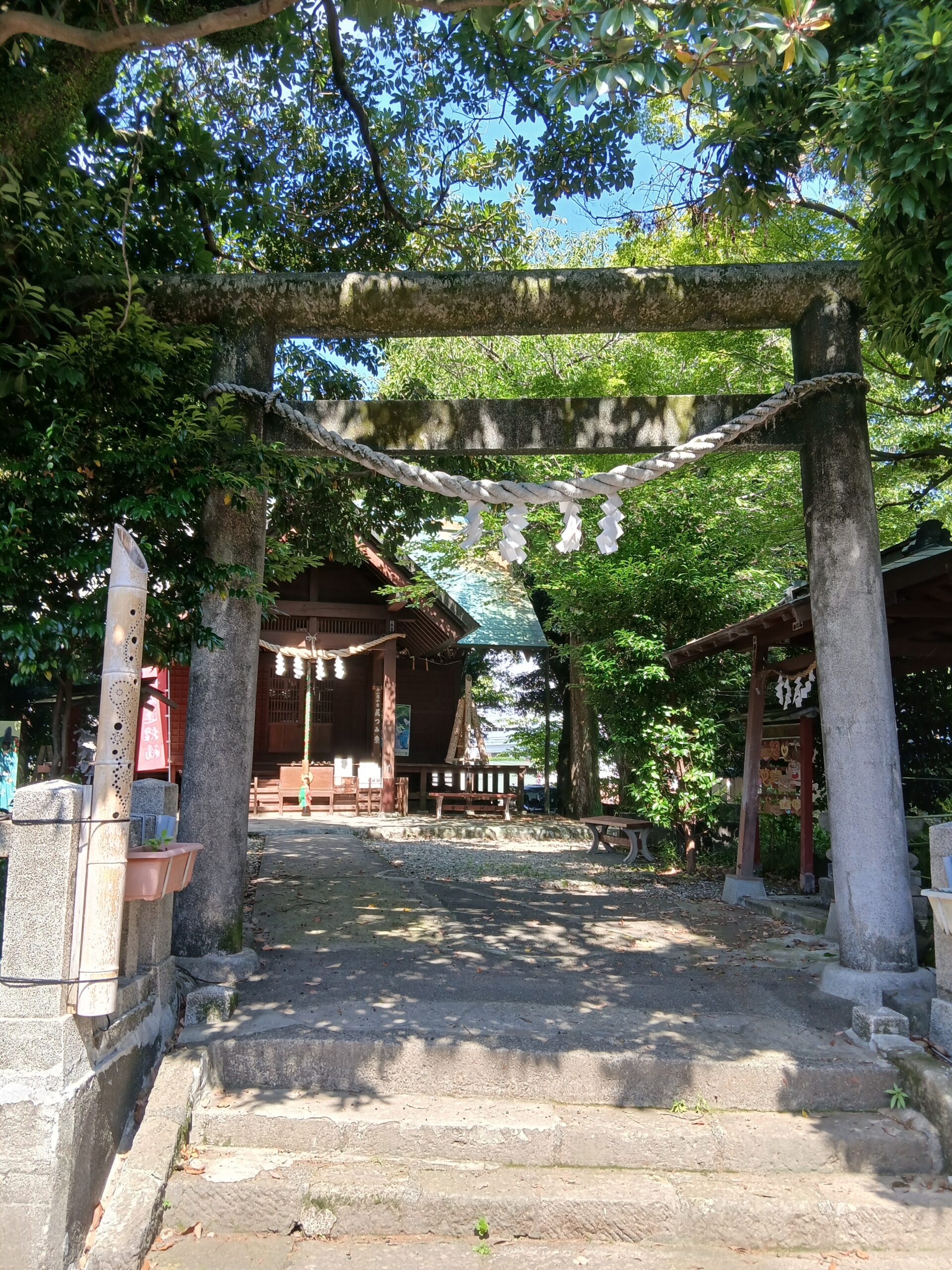 音無の森
